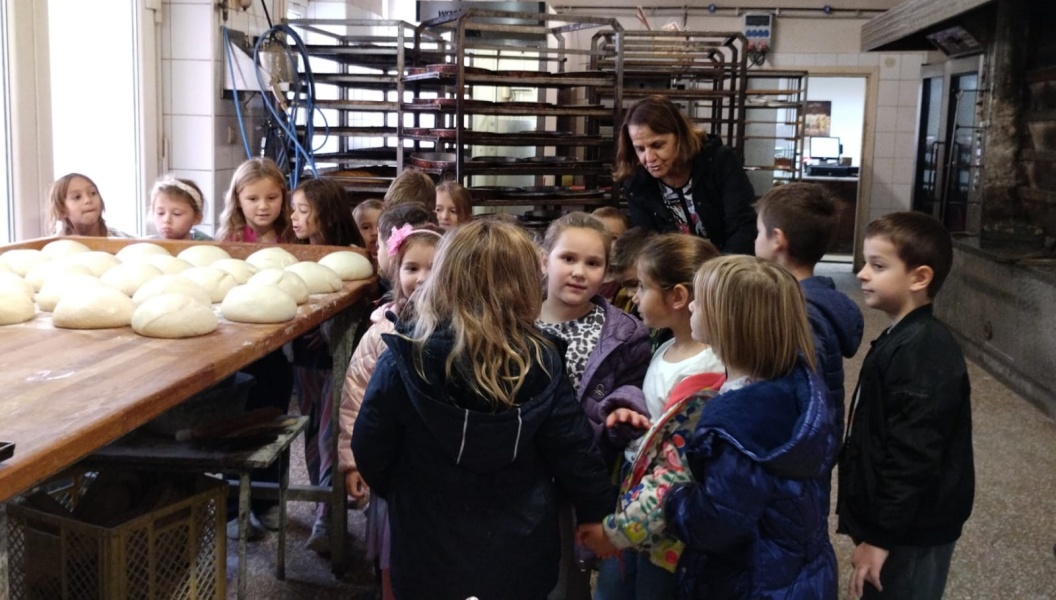  Leptirići i Bumblebees u posjetu pekari - slika broj: 1